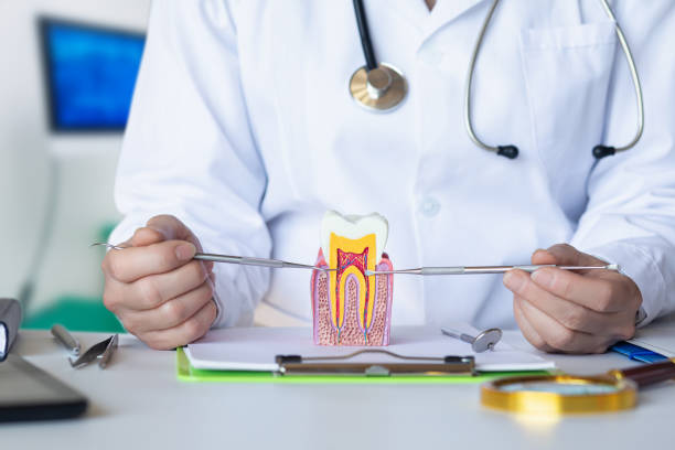 Best Emergency Dental Care for Sports Injuries in Jonesville, NC